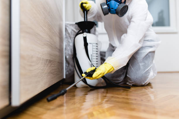 Best Termite Control Services  in Milford Mill, MD