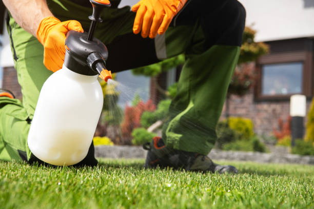 Best Best Pest Control Companies  in Milford Mill, MD
