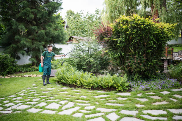 Wasp Removal Services in Milford Mill, MD