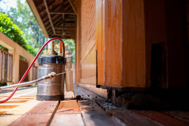 Best Cockroach Control Services  in Milford Mill, MD