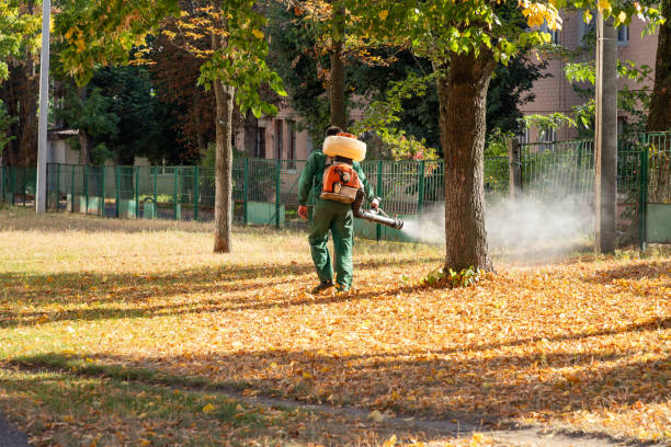 Best Exterminator Services  in Milford Mill, MD