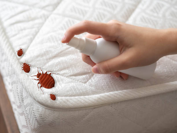 Best Pest Inspection Near Me  in Milford Mill, MD