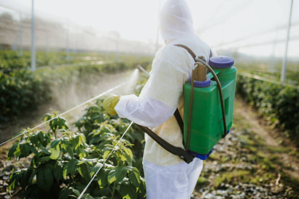 Best Best Pest Control Near Me  in Milford Mill, MD